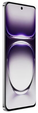 Смартфон OPPO Reno12 12/256GB (black brown) CPH2625 фото
