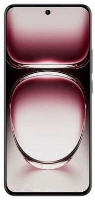Смартфон OPPO Reno12 12/256GB (black brown) CPH2625 фото