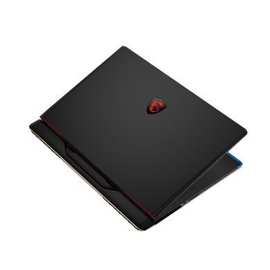 MSI Ноутбук Raider 17" QHD+, Intel i9-13980HX, 32GB, F1TB, NVD4090-16, W11, черный (368038) RAIDER_GE78HX_13VI-207UA фото