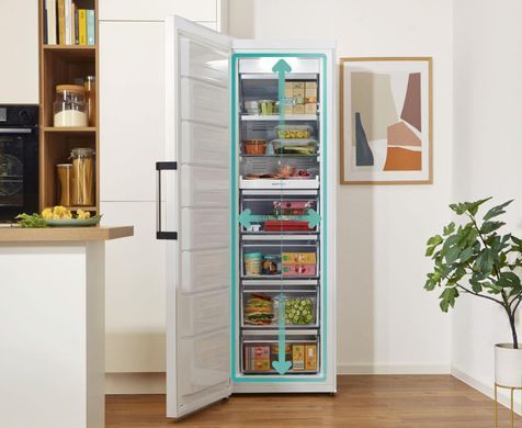 Gorenje Морозильная камера, 185.5x59.5х66.3, 280л, 1дв., A++, NF, диспл внешн., инверто, белый FN619EAW6 фото