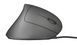 Trust Миша ERGONOMIC USB BLACK (317321) 22885_TRUST