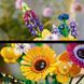 Конструктор LEGO Botanicals Букет польових квітів 939 деталей (10313)