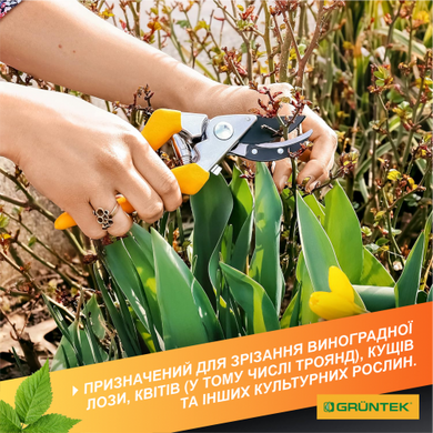 Секатор GRUNTEK Gerfalke жовтий 210 мм 295108226 фото