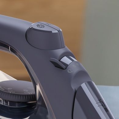 Праска з подачею пари Electrolux E6SI1-4MN (6772108) 910003658 фото