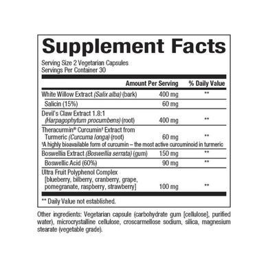 CurcuminRich Joint Curcumizer - 60 vcaps Natural Factors