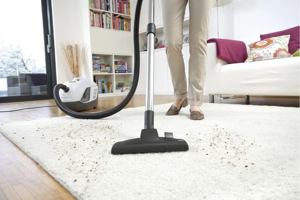Karcher Пилосос миючий DS 6 Plus, 650Вт, вода -2 л, НЕРА, білий (374648) 1.195-252.0 фото