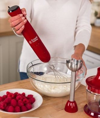 Занурювальний блендер Russell Hobbs 24700-56 Desire (6434489) 23626026002 фото