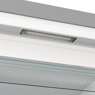 Gorenje Морозильна камера FN619EAXL6 матовий нерж. (356427) FN619EAXL6 фото