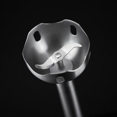 Russell Hobbs 24690-56 Desire (296738) 24690-56 фото