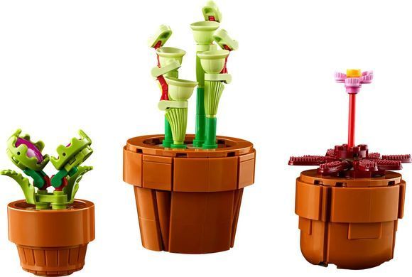 Конструктор LEGO Icons Botanicals Маленькі квіти (377313)