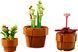 Конструктор LEGO Icons Botanicals Маленькі квіти (377313)