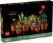 Конструктор LEGO Icons Botanicals Маленькі квіти (377313)