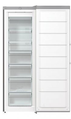 Gorenje Морозильная камера FN619EES5 FN619EES5 фото