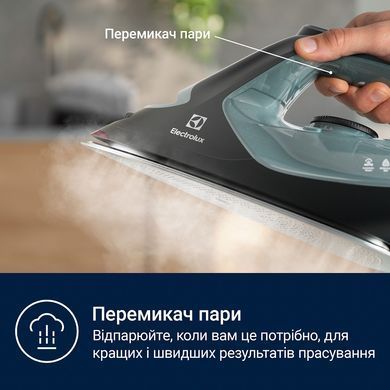 Праска Electrolux E7SI2-6OG (6973299) 910003901 фото