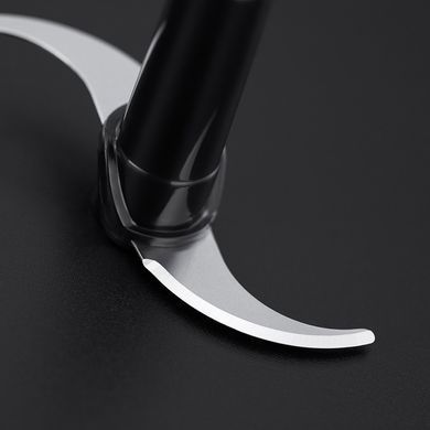 Russell Hobbs 24700-56 Desire (296739) 24700-56 фото