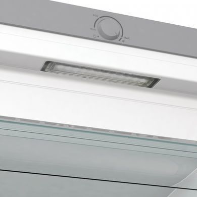 Gorenje Морозильная камера FN619EES5 FN619EES5 фото