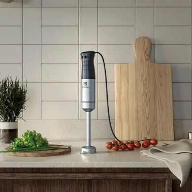 Погружной блендер Electrolux E5HB2-8SS (6814333) 910003672 фото