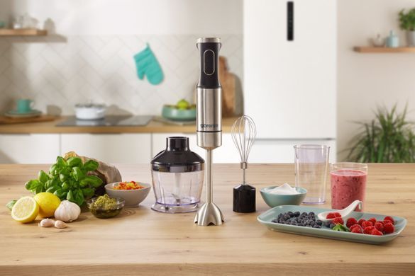 Блендер заглибний Gorenje 1000Вт, 3в1, чаша-600мл, нерж (382907) HBX1000EB фото