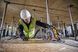Пила дисковая аккумуляторная DeWALT DCS579X2 DCS579X2