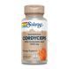 Кордіцепс, Cordyceps Mushroom Extract 500mg - 60 vcaps