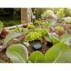 Датчик влажности грунта GARDENA 01867-20.000.00