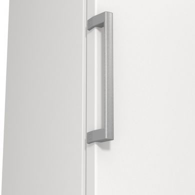 Gorenje Морозильна камера FN619EEW5 (358321) FN619EEW5 фото