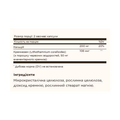 Oceanic Silica 25mg - 100 vcaps Solgar