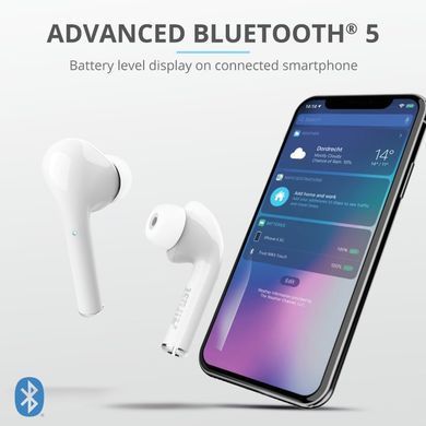 Наушники Trust Nika Touch True Wireless Mic White 23705_TRUST фото