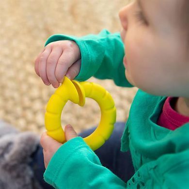 Набір прорізувачів Fat Brain Toys pipSquigz Ringlets Гнучкі колечка (F250ML) dt_13668 фото