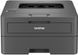 Принтер laser mono A4 Brother HL-L2442DW 30 ppm Duplex USB Wi-Fi (390141) HLL2442DWYJ1