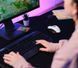 Trust Мышь GXT 109 FELOX RGB White 25066_TRUST