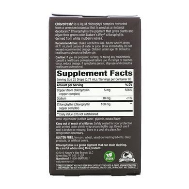 Chlorofresh&reg; Mint 40X Liquid - 59 ml Nature's Way