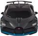 Машинка Rastar Bugatti Divo 1:24 Серый