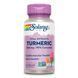 Turmeric Root Extract 300m - 60 vcaps Solaray
