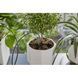Набор Gardena Holiday Watering для полива в выходные дни 13366-20.000.00