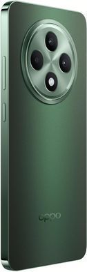 Смартфон OPPO RENO12 F 5G 8/256GB (black green) CPH2637 black green фото