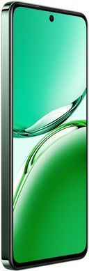 Смартфон OPPO RENO12 F 5G 8/256GB (black green) CPH2637 black green фото
