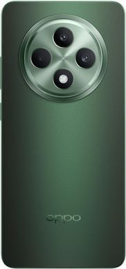 Смартфон OPPO RENO12 F 5G 8/256GB (black green) CPH2637 black green фото