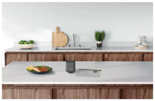 Вакууматор Electrolux для багаторазових пакетів і контейнерів, 4Вт, механічне керування, +10 пакетів, пластик, сірий (358258) EVSK1 фото