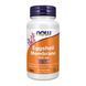 Мембрана яєчної шкаралупи Now Foods Eggshell Membrane 500 мг 60 капсул