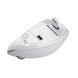 Безпровідна мишка Verto Ergonomic Wireless Mouse - White TRUST Verto Ergonomic W Mouse White (25132) 3724900