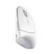 Безпровідна мишка Verto Ergonomic Wireless Mouse - White TRUST Verto Ergonomic W Mouse White (25132) 3724900