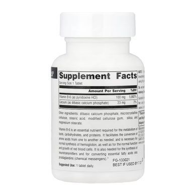 Vitamin B-6 100 mg - 100 tabs