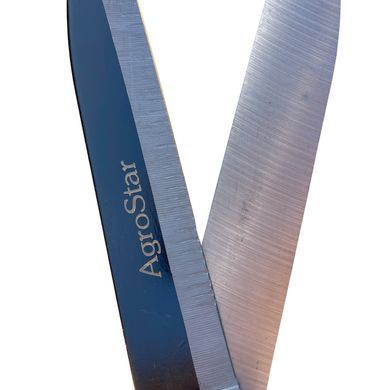 Ножиці садові "AgroStar"мод.098 А0057774 фото