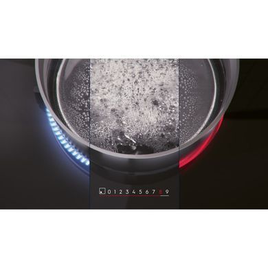 Electrolux EIS8648 EIS8648 фото