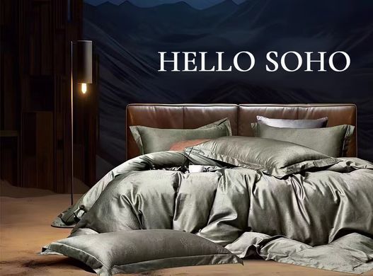 Комплект SOHO Комплект пост.білизни Євро Boutique 200*230 Сircle Olive