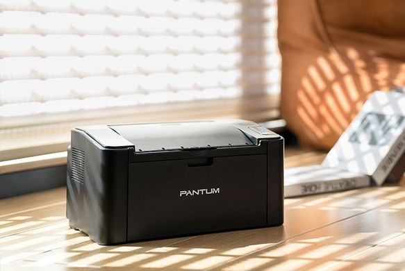 Pantum Принтер А4 P2500NW з Wi-Fi (360544) P2500NW фото