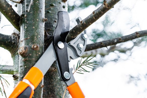 Гілкоріз телескопічний NEO TOOLS 670 мм &mdash; обрізка гілок до 42 мм 15-254 фото