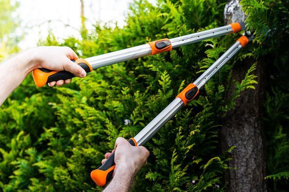 Гілкоріз телескопічний NEO TOOLS 670 мм &mdash; обрізка гілок до 42 мм 15-254 фото
