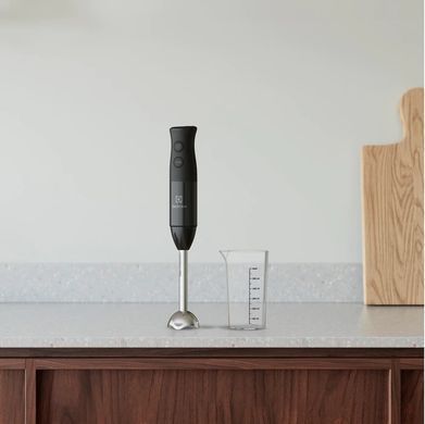 Блендер Electrolux E3HB1-4GG (345018) E3HB1-4GG фото
